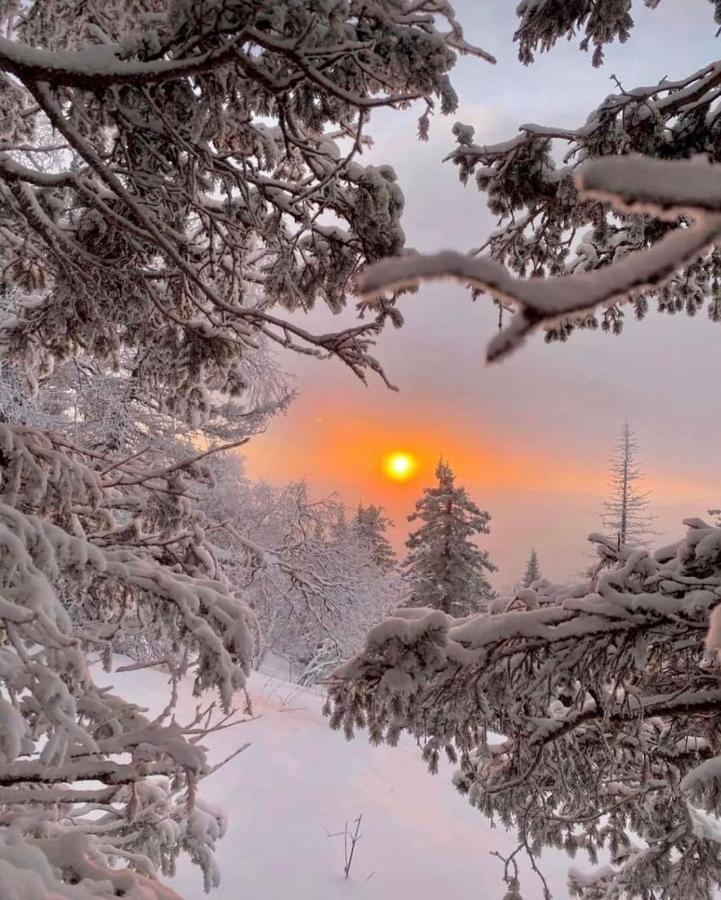Villa Кришталеві Вершини Vorokhta Esterno foto