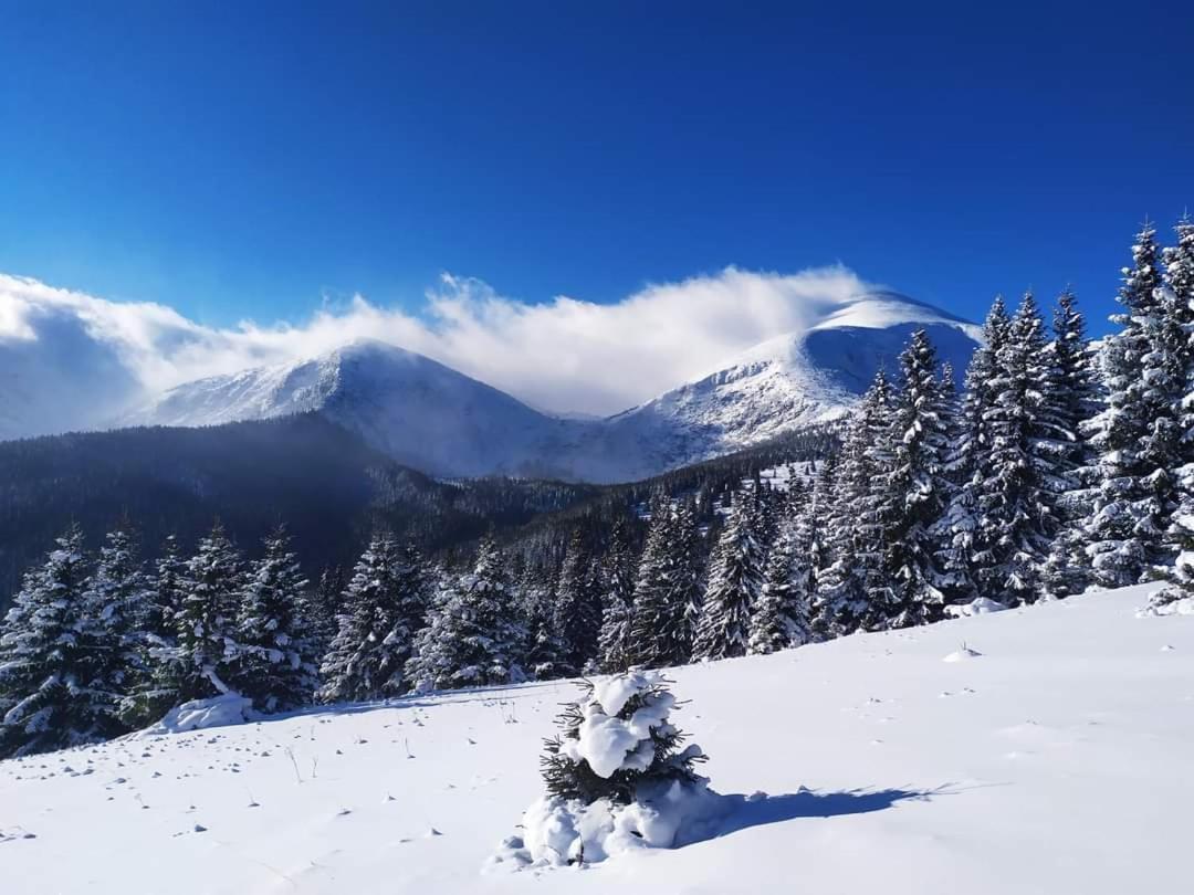 Villa Кришталеві Вершини Vorokhta Esterno foto